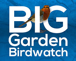 Big-Garden-Watch